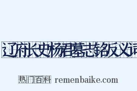 辽府长史杨君墓志铭反义词是什么意思的图片